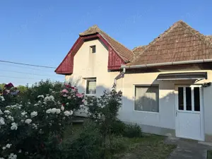 Casa de vanzare in Viisoara