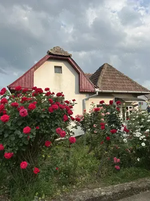 Casa de vanzare in Viisoara - imagine 2