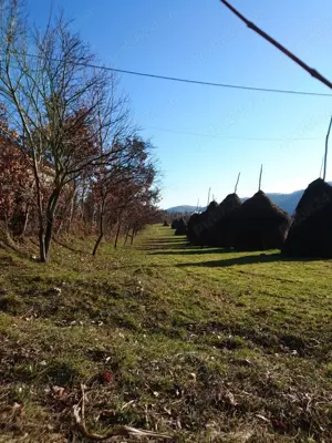 Teren de vinzare Nasaud - imagine 5