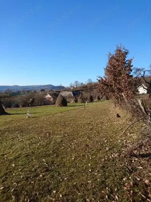 Teren de vinzare Nasaud - imagine 4