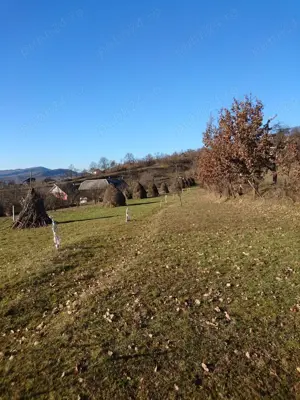 Teren de vinzare Nasaud