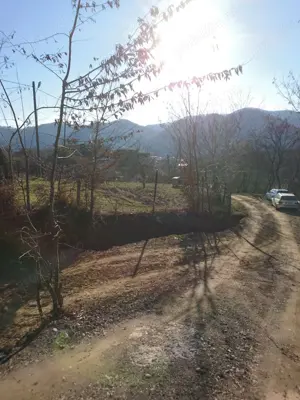 Teren de vinzare Nasaud - imagine 6