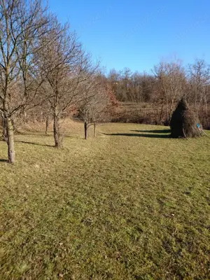 Teren de vinzare Nasaud - imagine 8