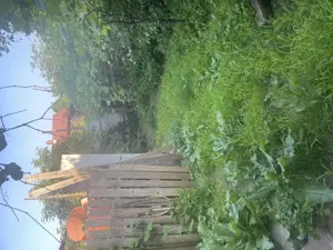 Casă de vânzare în Târgu Ocna   zonă excelentă, aproape de facilități! - imagine 4  Casă de vânzare în Târgu Ocna   zonă excelentă, aproape de facilități! - imagine 4