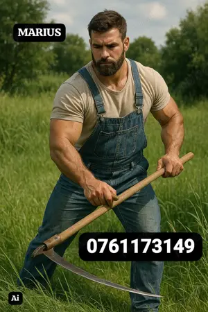 Servicii de tuns iarbă,cosit,curățat terenuri   București DE LA 100lei