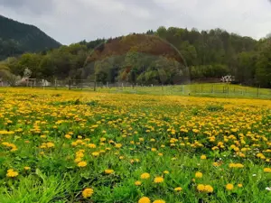 Hotel Tresor - Lepsa. - imagine 5