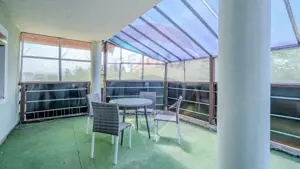 Vila rezidential/  gradina de vis/sera/ panouri/ Sanpetru! - imagine 16