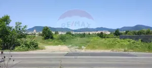Teren de vanzare Baia Mare, Strada Dumbravei