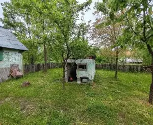 Casa si teren Sat Bainet, ID: R2576896 - imagine 9