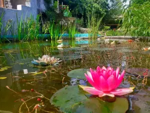 Casă de vânzare Piatra-Neamt  - imagine 6