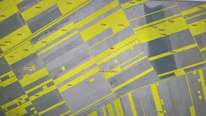 Teren Intravilan 35 euro m2 în Dezvoltare Accelerată, Str. Tuberozelor, Domnești