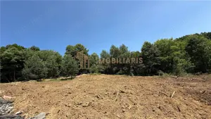 Parcele 10-15 ari teren intravilan, zona Grivitei - imagine 6