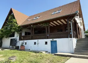 Casa cu piscina   Pensiune   Restaurant - Pe malul lacului din Paleu - IMOBIHOR  - imagine 10