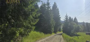 Teren intravilan de vanzare in Colibita - imagine 2