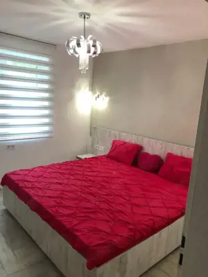 Apartament 2 camere Expo Parc, parter, mobilata, utilata - imagine 2