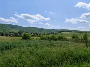 Teren intravilan 7.800 mp Mărcuș sau loturi începând cu 7.000 euro. - imagine 2