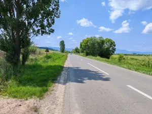 Teren intravilan 7.800 mp Mărcuș sau loturi începând cu 7.000 euro. - imagine 6