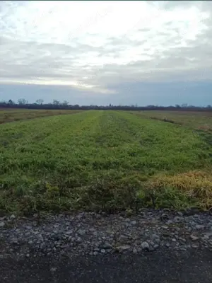 Teren de Vanzare!!!!!