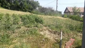 800-1000 m2 teren intravilan in dezmir(cluj)