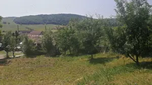 800-1000 m2 teren intravilan in dezmir(cluj) - imagine 3