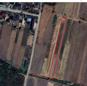 Vand teren extravilan Brastavatu, jud. Olt, 1,15 ha - imagine 6