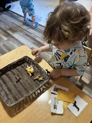 Asistent educator Montessori pentru comunitatea 3-6 ani - imagine 3