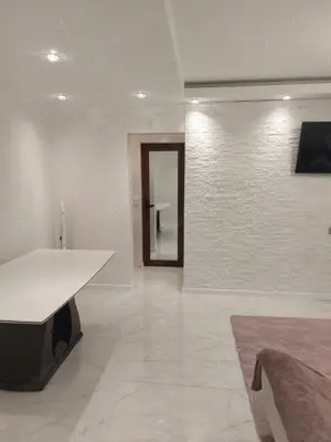 Zugrav execut lucrari 