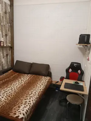 Vând locuință la curte comuna zona Mețianu Arad. - imagine 4