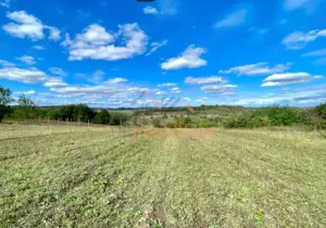 TEREN INTRAVILAN 5.995 MP | COMUNA SUMUGIU | BIHOR - imagine 3