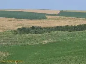 Teren Extravilan Aroneanu, ID: R2577828 - imagine 8