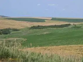 Teren Extravilan Aroneanu, ID: R2577828 - imagine 9