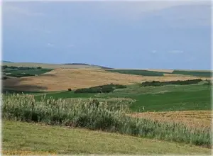 Teren Extravilan Aroneanu, ID: R2577828 - imagine 6