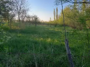 Teren intravilan central in Calacea, 24 km , asfalt, 25 euro mp - imagine 2