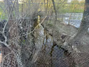 Teren intravilan central in Calacea, 24 km , asfalt, 25 euro mp - imagine 5