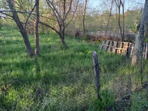 Teren intravilan central in Calacea, 24 km , asfalt, 25 euro mp - imagine 4