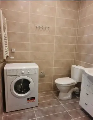 De inchiriat un apartament cu o camera in zona Balcescu - imagine 5