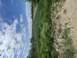 Vând teren 1600 m2, Dragomirești Dambovita