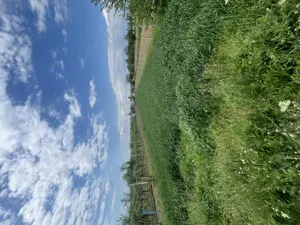 Vând teren 1600 m2, Dragomirești Dambovita - imagine 3