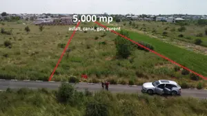 ASFALT, gaz, curent, canal - 5.000 mp DOMNESTI dezvoltare cartier case - imagine 3