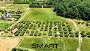 Teren extravilan 5000mp zona Cisnadie