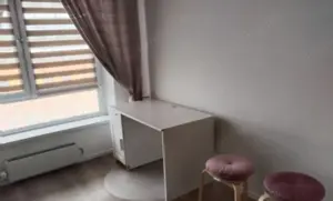 Inchiriere apartament cu o camera in zona Medicinei - imagine 4