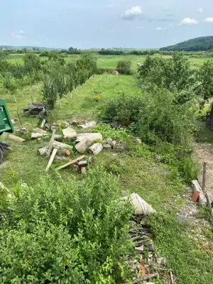 Casă de vânzare parter+etaj în localitatea Beliu - imagine 8