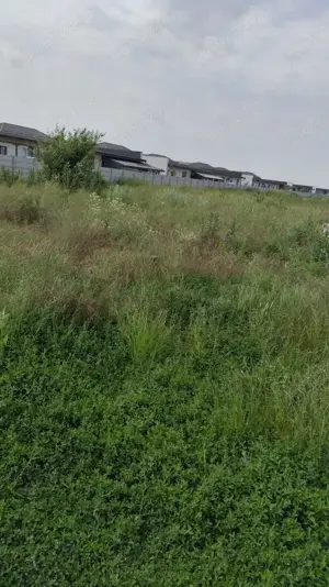 Vând Teren Extravilan Măgurele  5000 mp - imagine 2