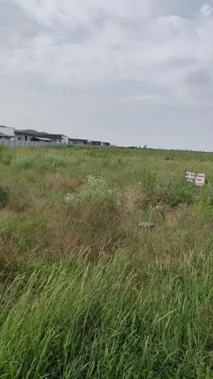 Vând Teren Extravilan Măgurele  5000 mp