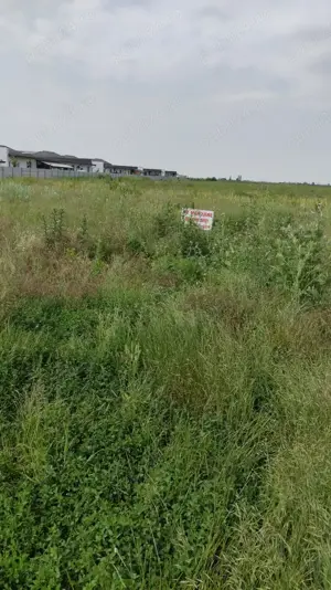 Vând Teren Extravilan Măgurele  5000 mp - imagine 3