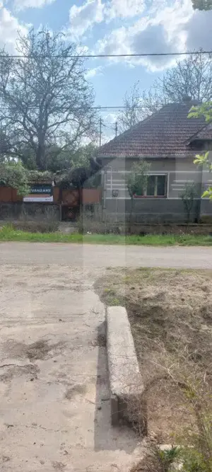 Blitz va ofera spre vânzare o casa cu teren generos în Cermei