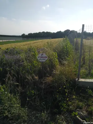 Teren intravilan de vânzare  - imagine 5