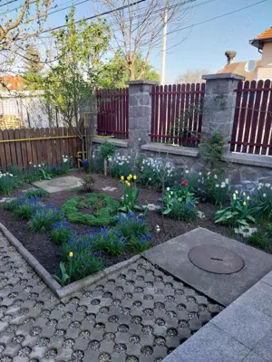 Casă de vânzare - Sf. Gheorghe, zona Simeria Veche - 260m  - imagine 7