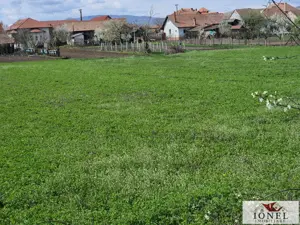 Teren intravilan de vanzare in Totoi