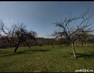 Vand Teren  - imagine 5